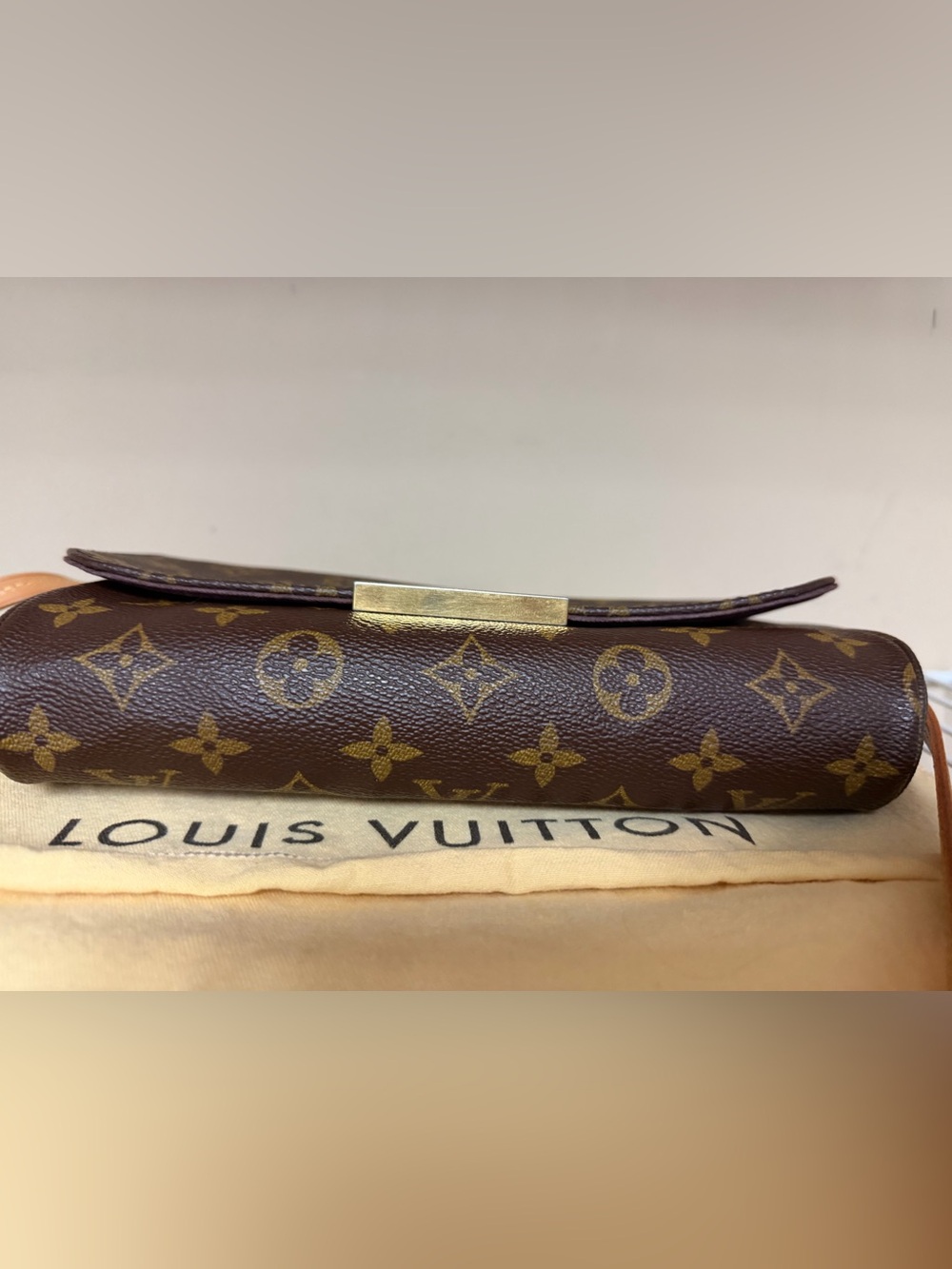 Louis Vuitton Favorite MM - Picture 5 of 9